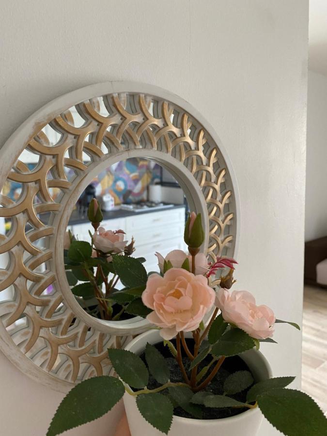 Sunny Deluxe Apartment Cosmopolis Stefanestii de Jos المظهر الخارجي الصورة